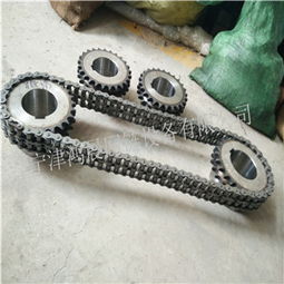 張掖小節(jié)距鏈輪多圖